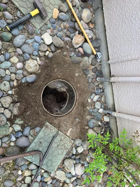 木を植えるリスク